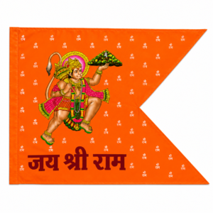 Sanjeev Parvat Hanuman(pink)